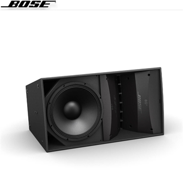 Loa Bose ArenaMatch AM20